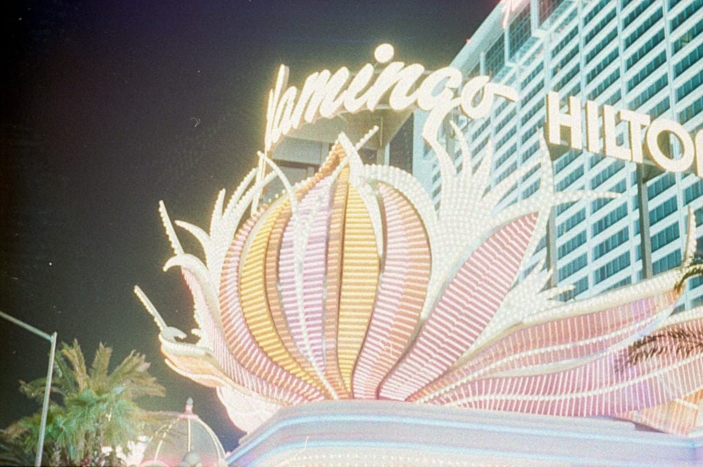 Flamingo Hotel and Casino, Las Vegas, Nevada, 25 April 1996