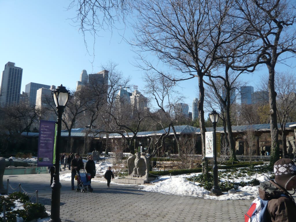 Central Park Zoo, New York City, 25 December 2008