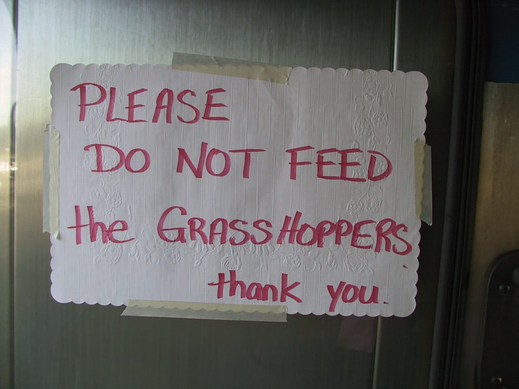 Don't feed the grasshoppers, Melville, Saskatchewan, 14 September 2002