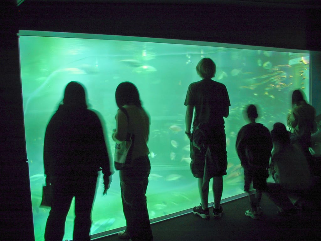 Osaka Aquarium, Japan, 2 April 2004