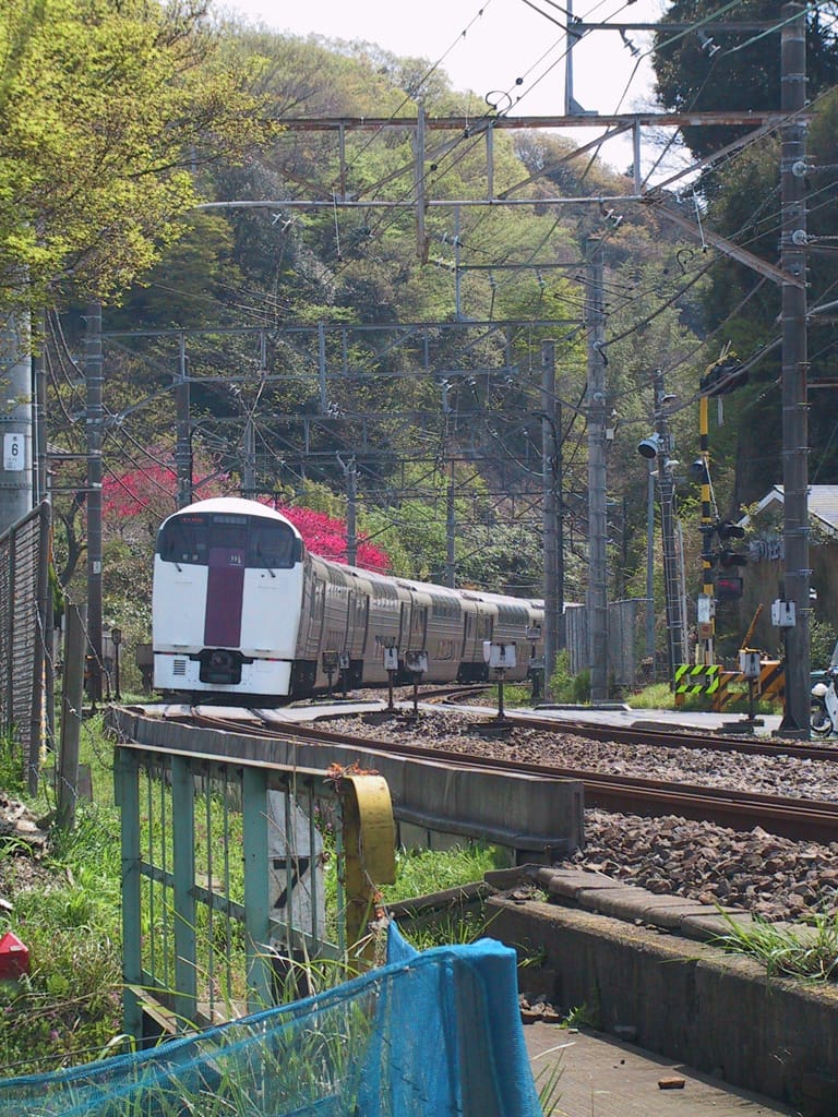 Rapid train approaching Kamakura station, Japan, 7 April 2004