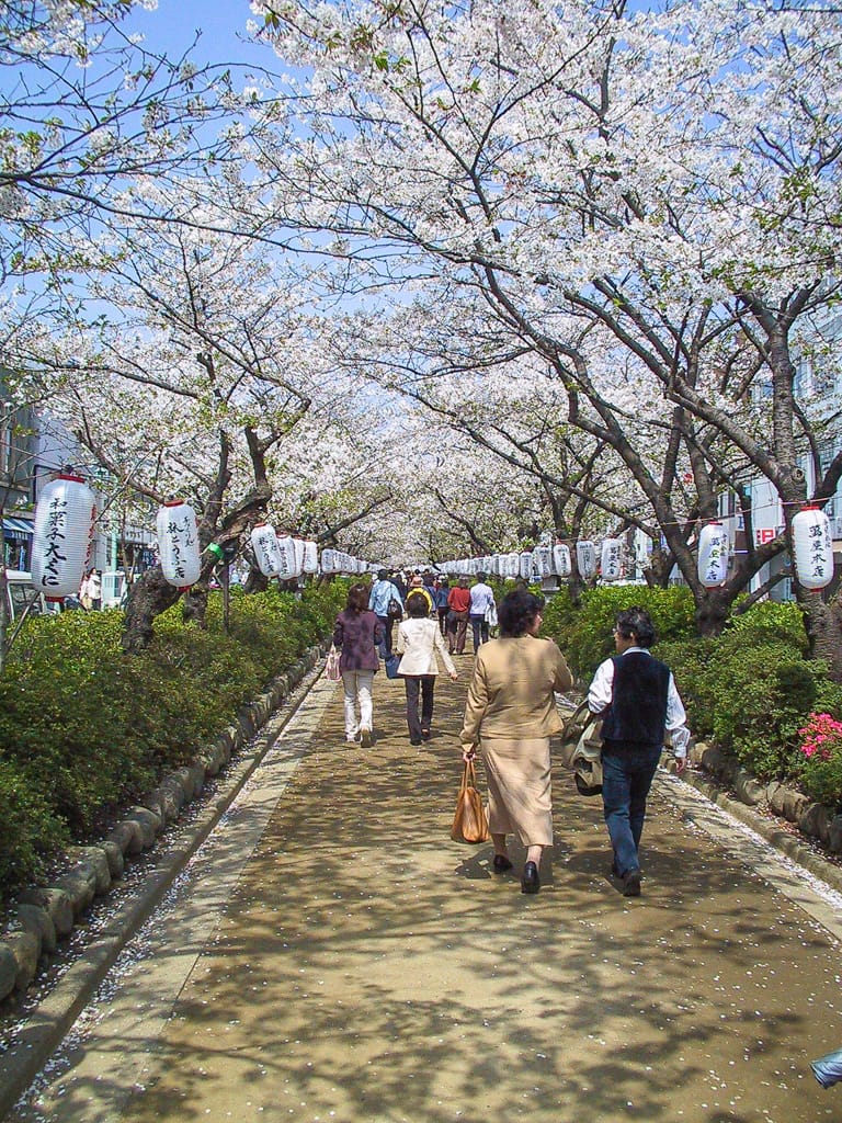 Approaching Kotokuin Temple, Kamakura, Japan, 7 April 2004