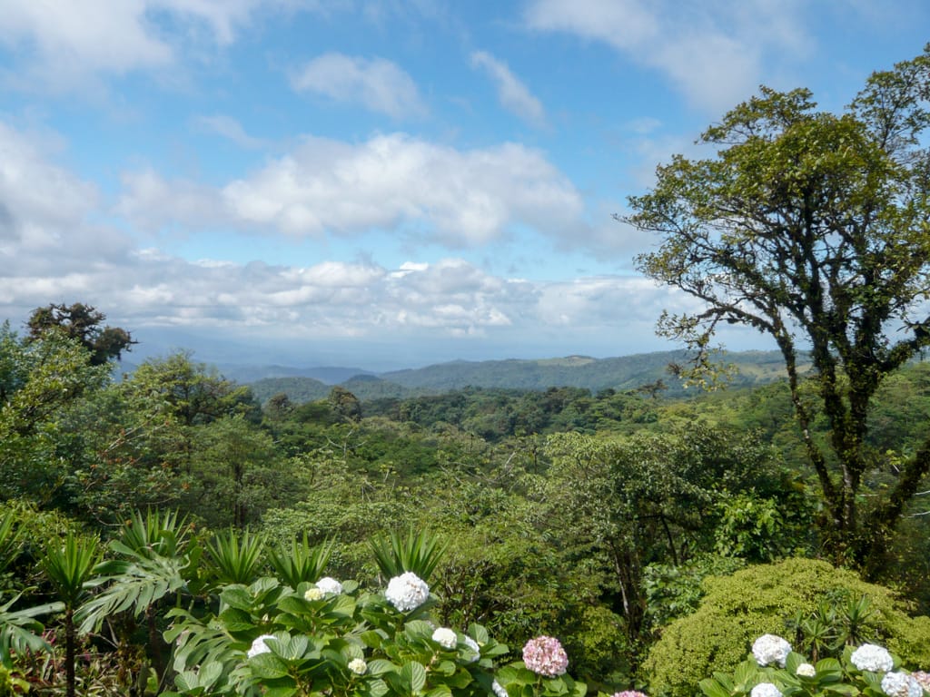 The view from Villa Blanca, Los Angeles Cloud Forest, Alajuela, Costa Rica