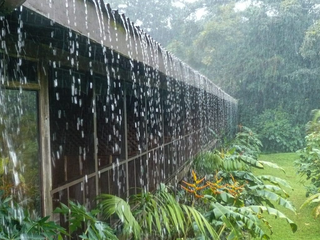 Rain, Arenal Paraiso, Alajuela, Costa Rica, 17 July 2008