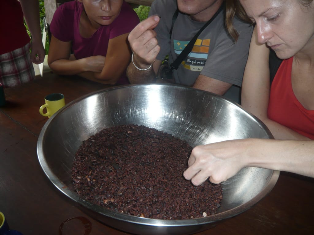 Cacao nibs, ChocoRart, Puerto Viejo, Limón, Costa Rica, 14 October 2009