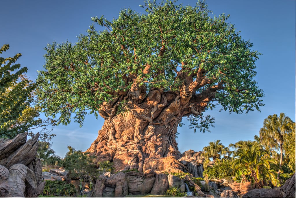 Tree of Life at Animal Kingdom, Walt Disney World, Orlando, Florida, 22 December 2016