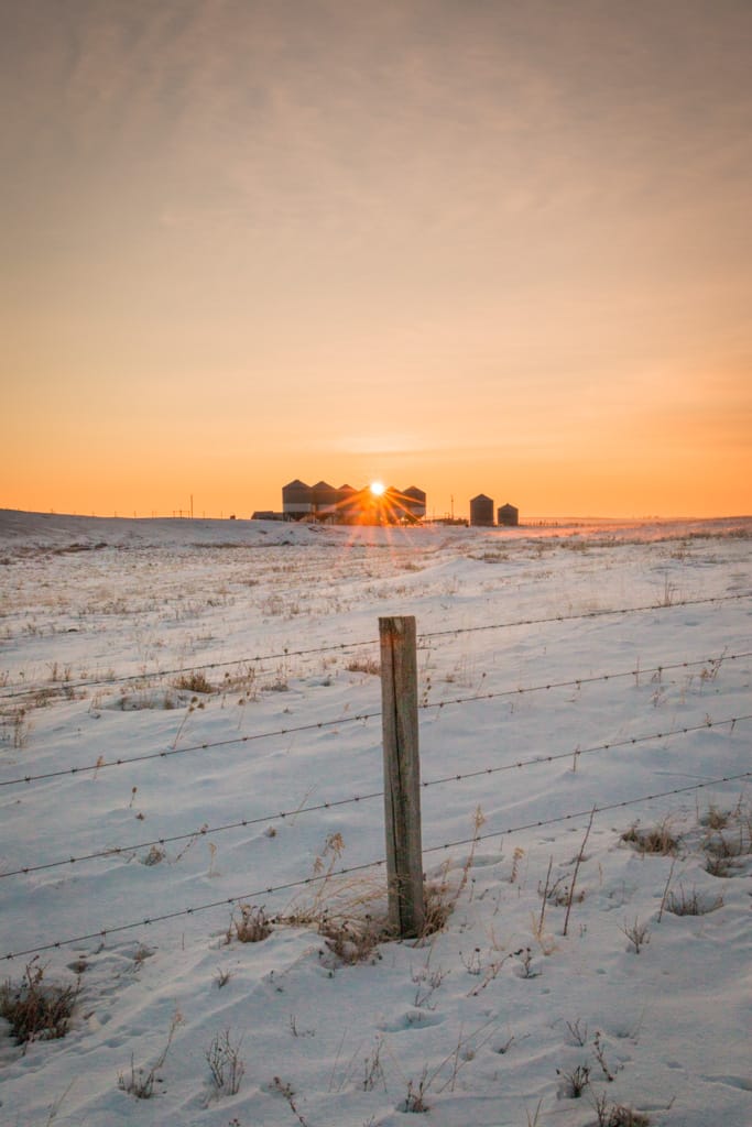 Sunrise over a farm, Alberta, 27 January 2018