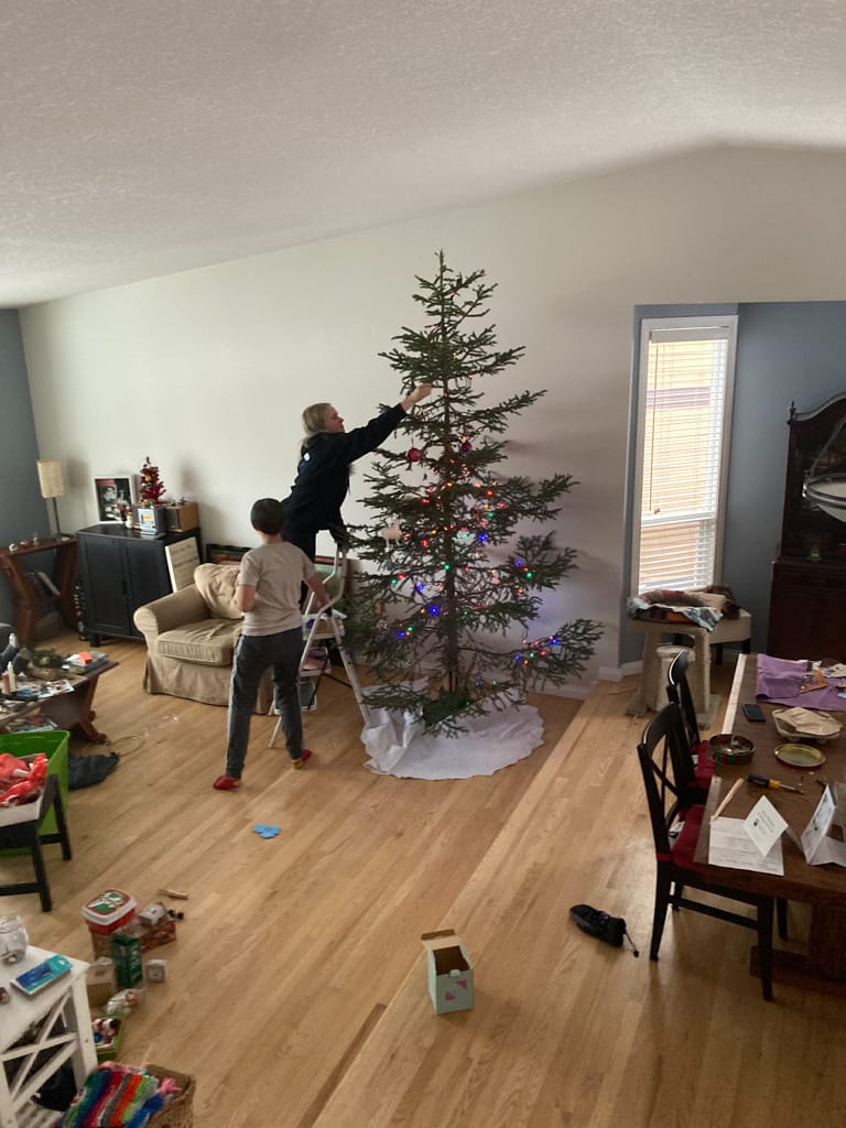 2021 Christmas Tree, Strathcona Park, Calgary, Alberta, 18 December 2021