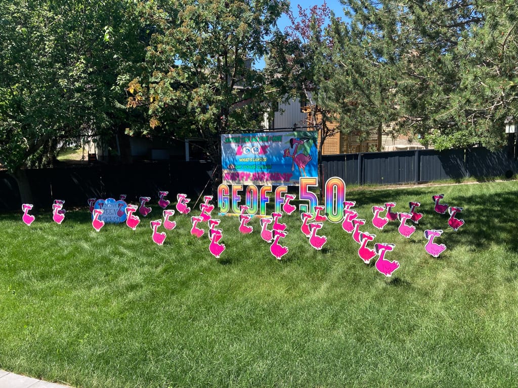50 Flamingos